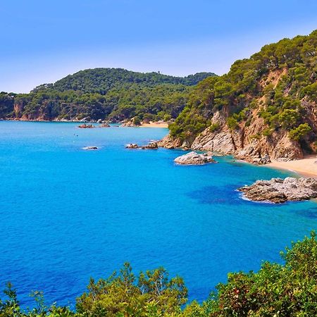 赫罗纳Solarium Con Terraza A 5 Minutos De La Playa公寓 外观 照片