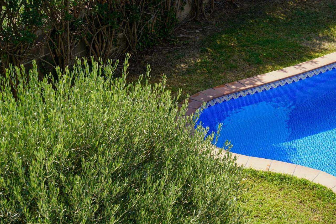 赫罗纳Solarium Con Terraza A 5 Minutos De La Playa公寓 外观 照片